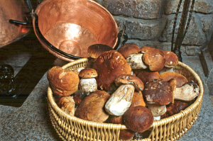 Champignons cuisine traditionnelle Lozère